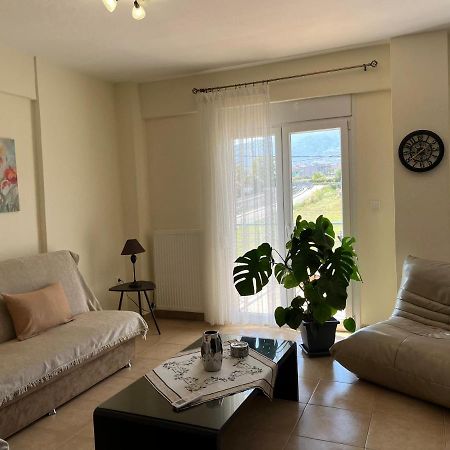 Olympian Two Floor Apartment Leptokariá Kültér fotó