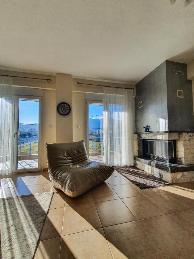 Olympian Two Floor Apartment Leptokariá Kültér fotó