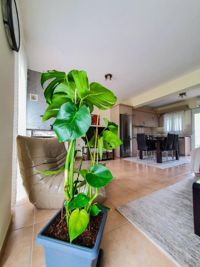 Olympian Two Floor Apartment Leptokariá Kültér fotó