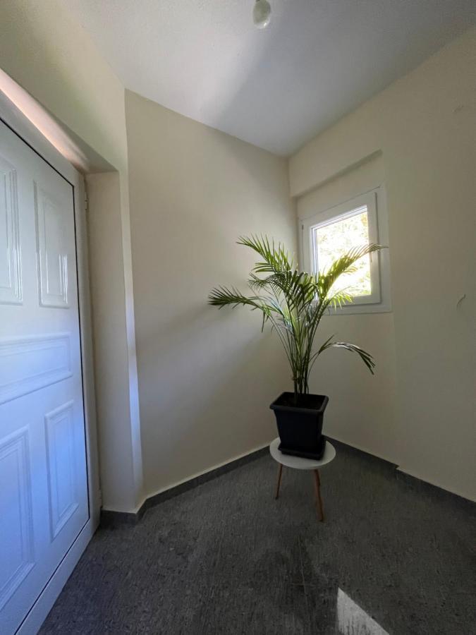 Olympian Two Floor Apartment Leptokariá Kültér fotó
