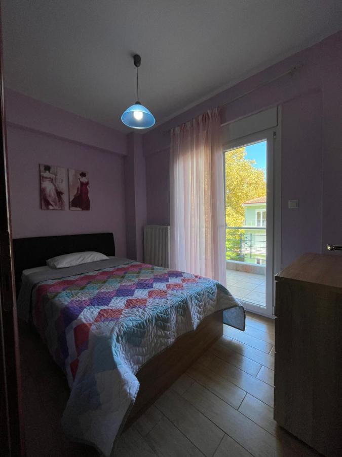 Olympian Two Floor Apartment Leptokariá Kültér fotó